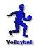 Volleyball Stats