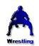 Wrestling Stats